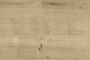 Noch kurz erhältlich!