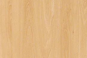 Noch kurz erhältlich!