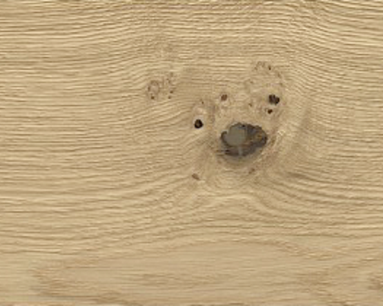 Das ist ein General.title