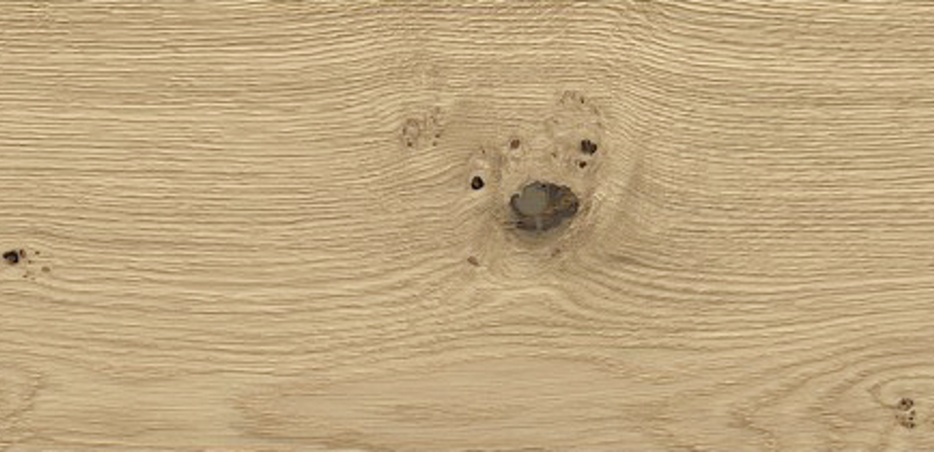 Das ist ein General.title